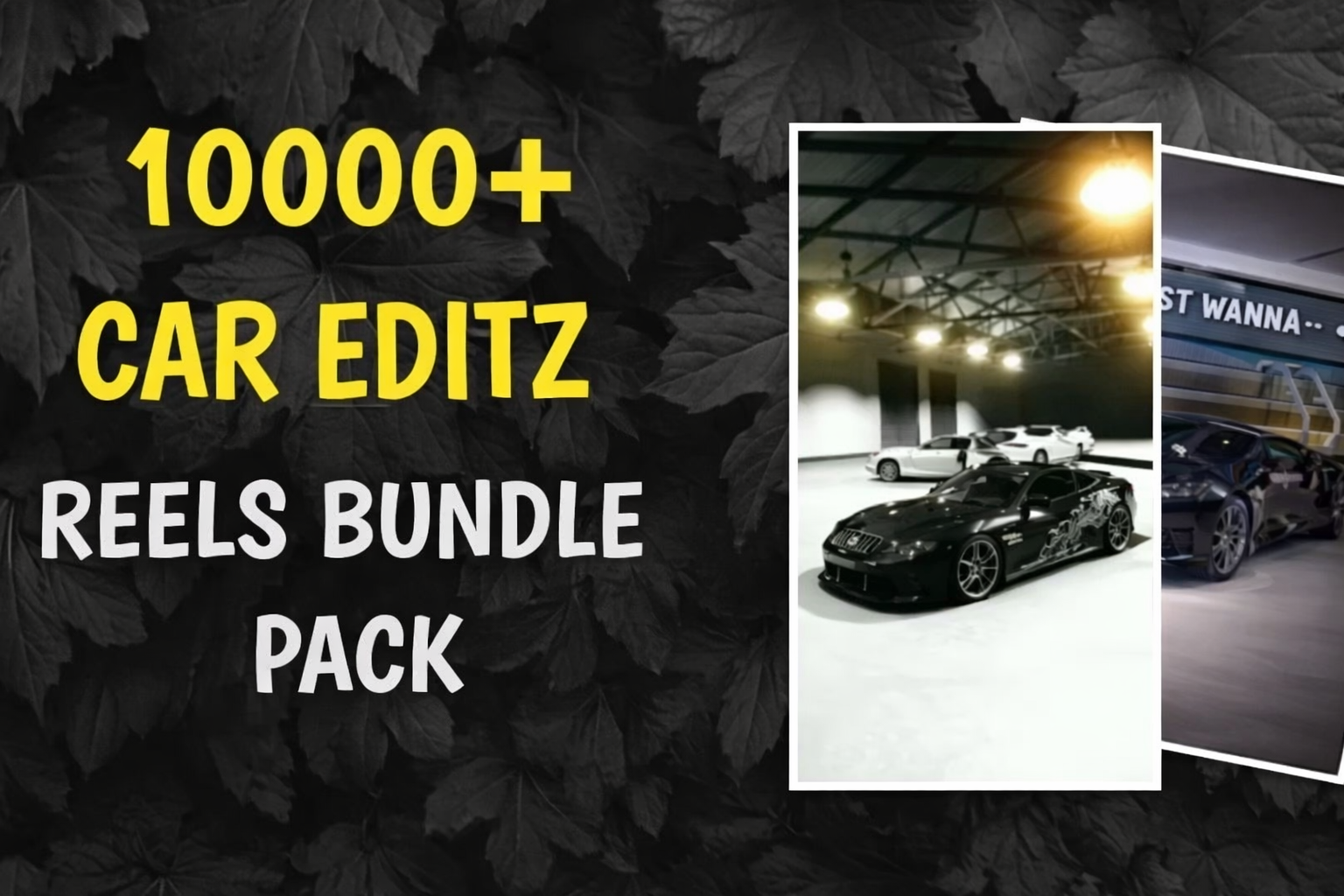 ChatGPT Image Feb 6, 2026, 10_06_01 PM