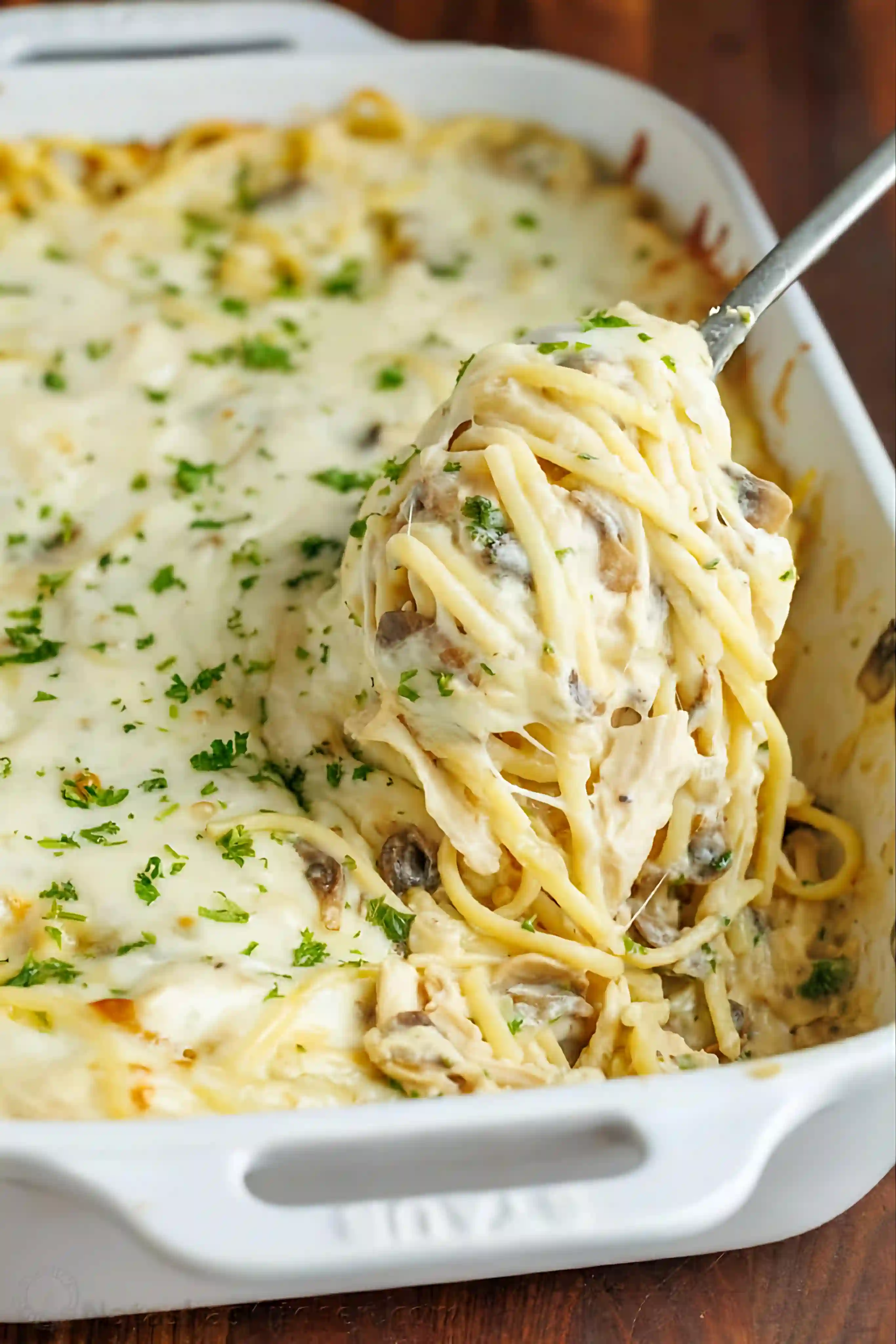 Chicken Tetrazzini