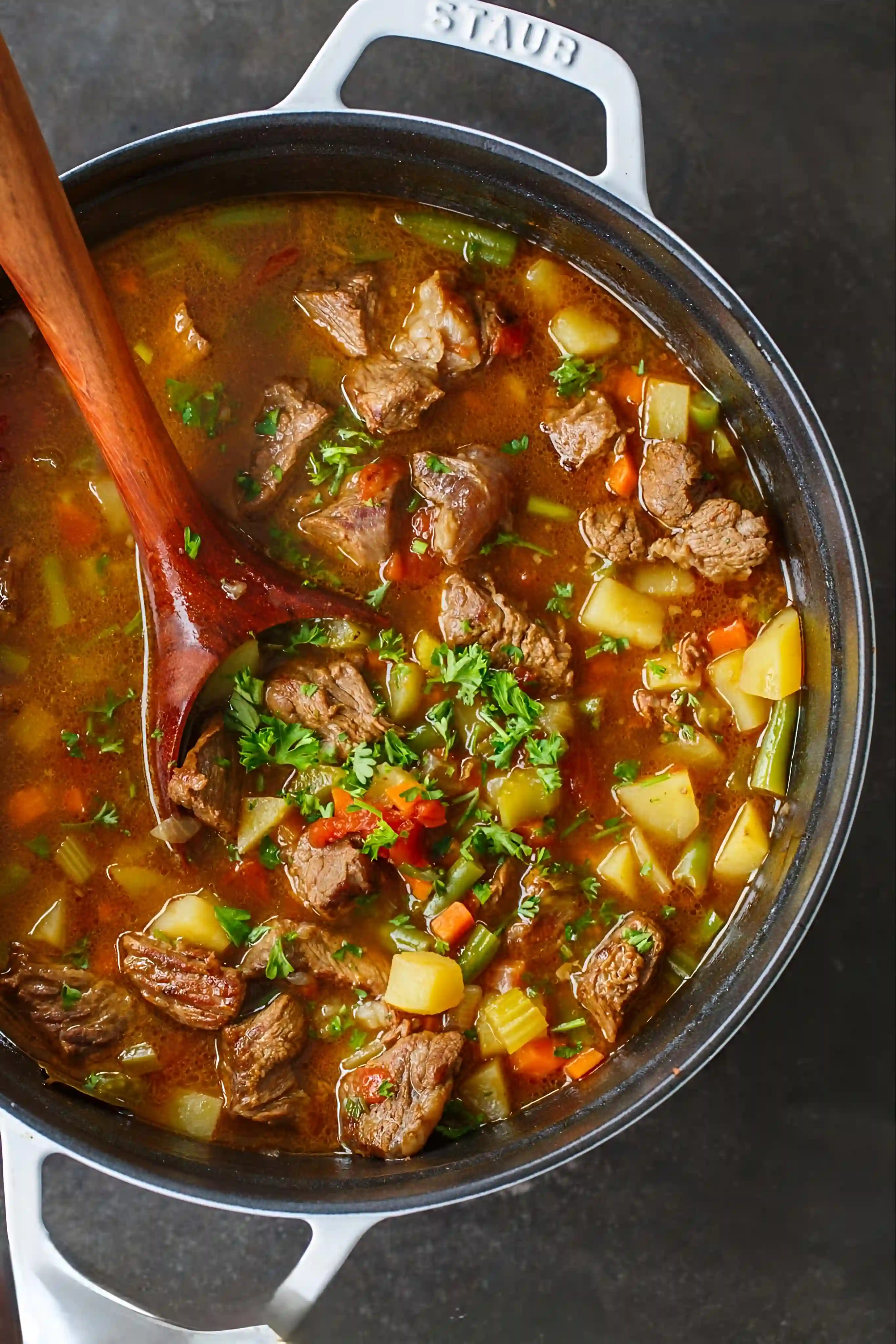 Vegetable beef soup