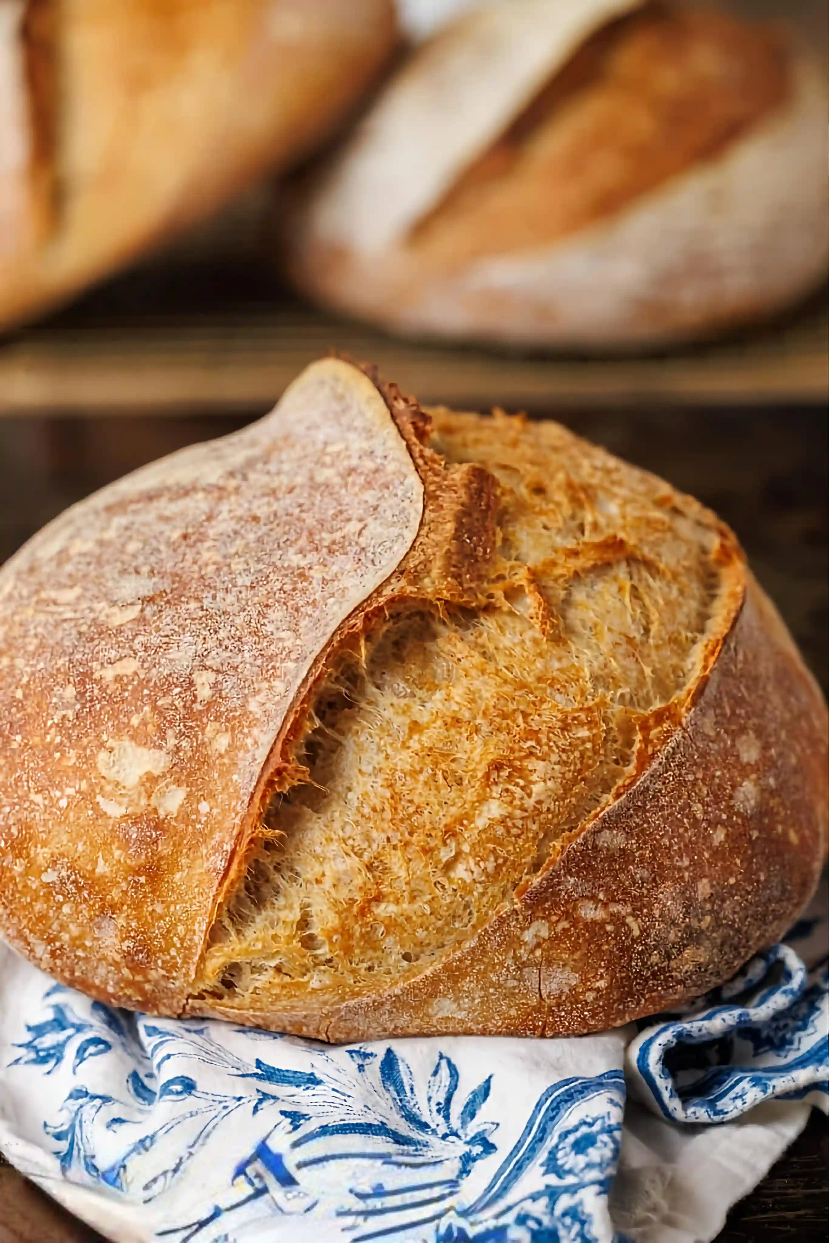 Sourdough Bread Recipe
