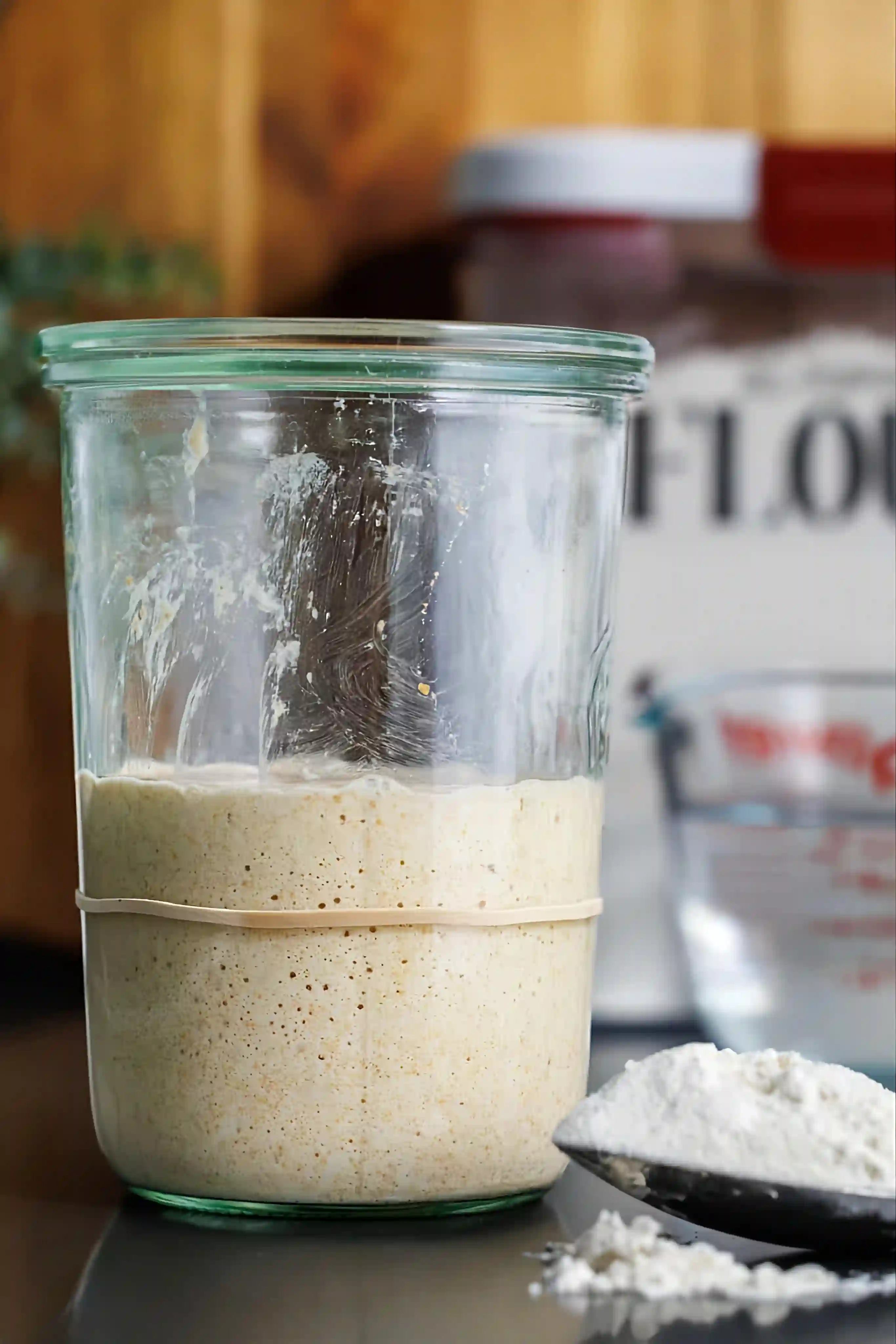 Sourdough Starter