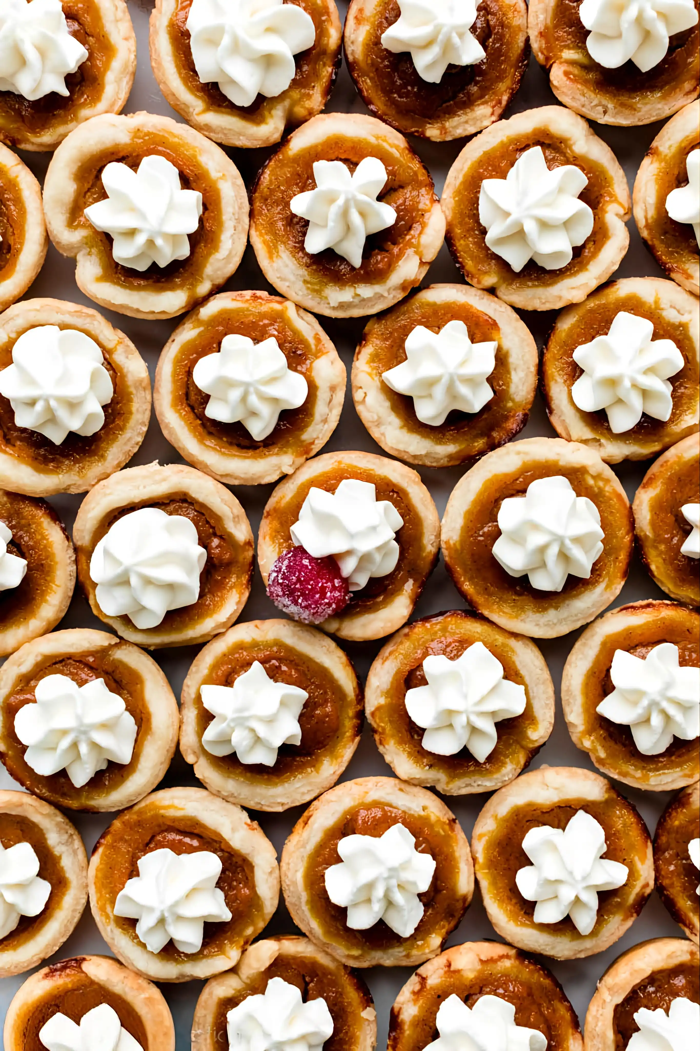 Mini Pumpkin Pies