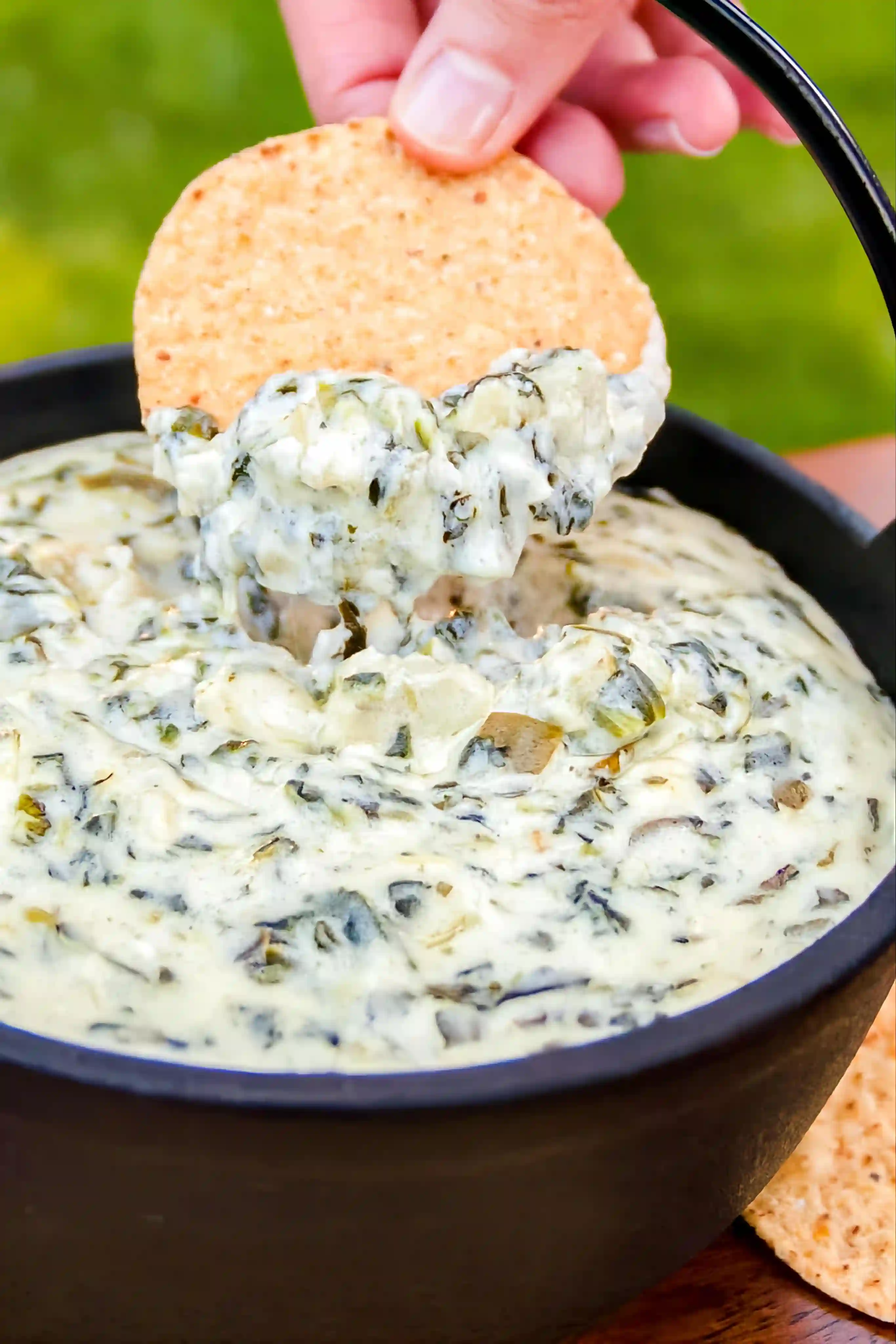 Spinach Artichoke Dip Recipe